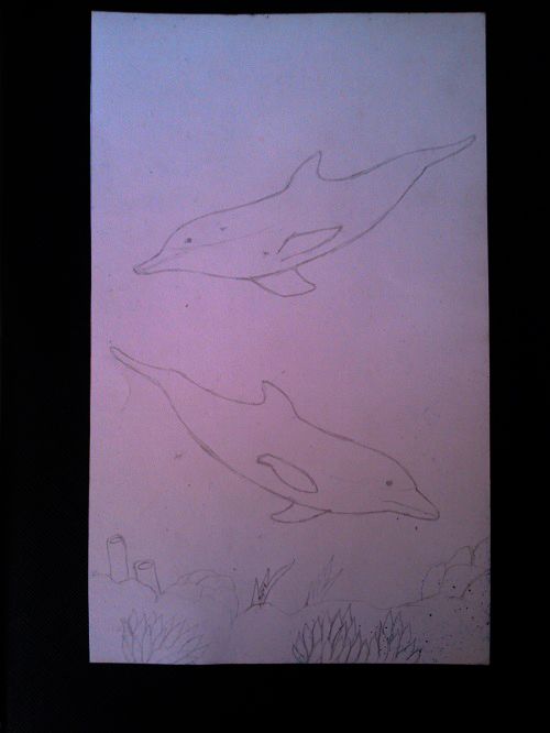 How to draw a Dolphin Step by Step