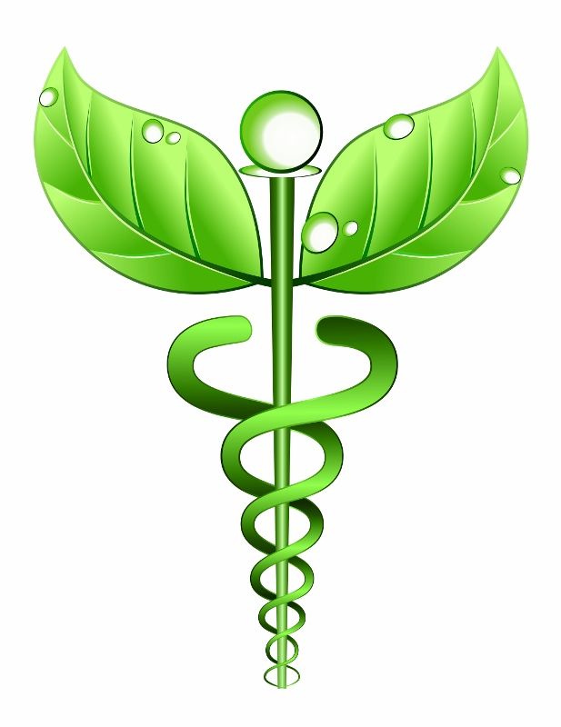 Herbal-Medicine-Staff-617x8002.jpg