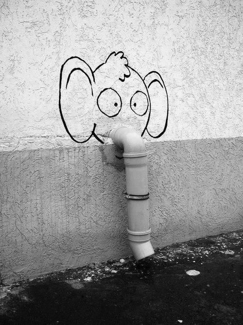 3216f82ddf63c6afa4229e45af6bf140--funny-elephant-elephant-art.jpg