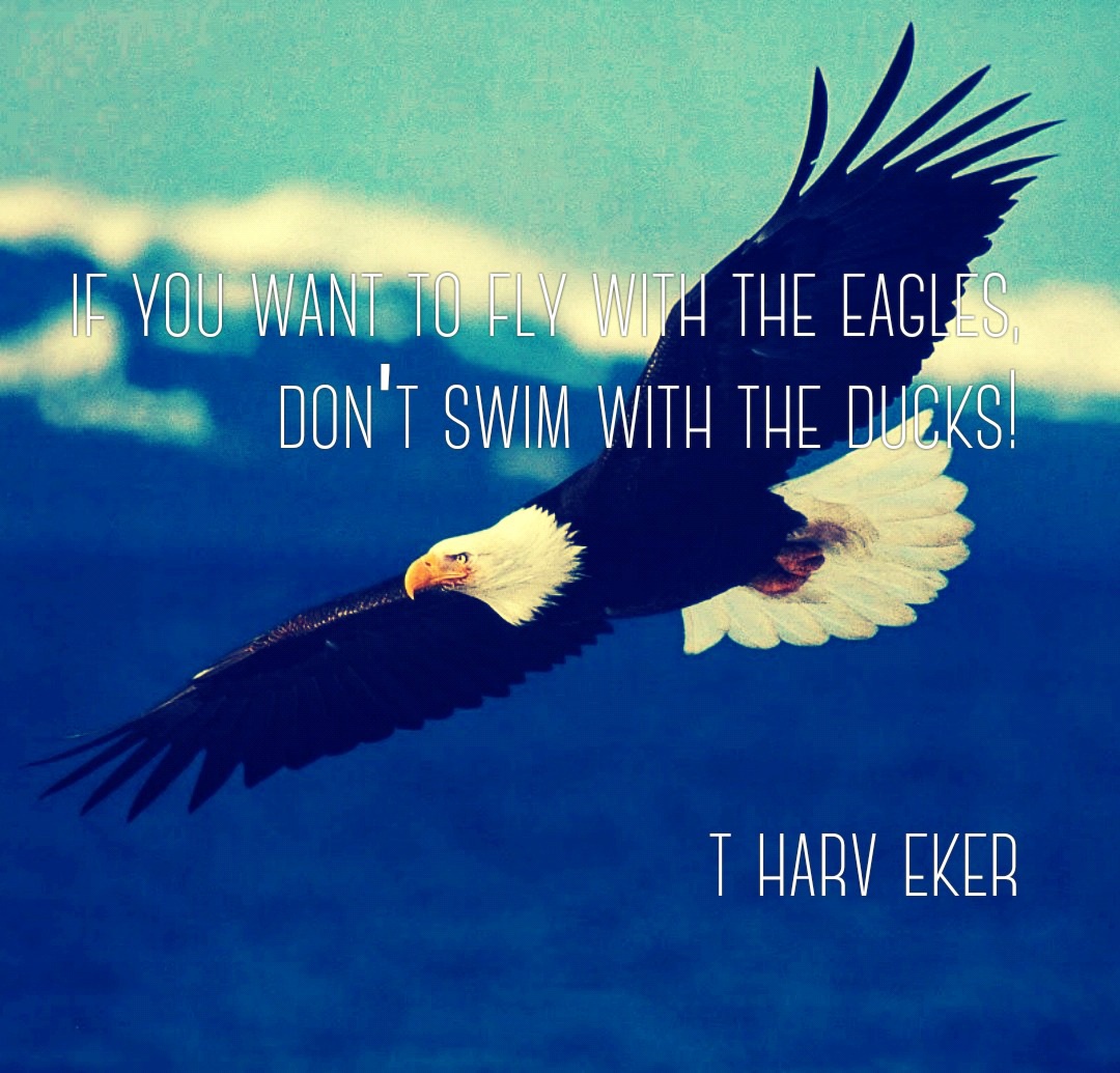 Soar Like You Are An Eagle Steemkr