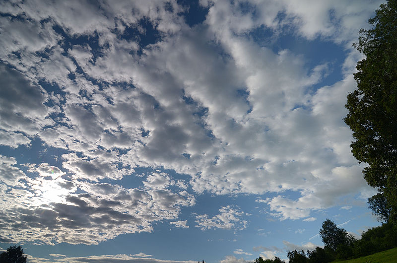 Stratocumulus_stratiformis_perlucidus_translucidus.jpg