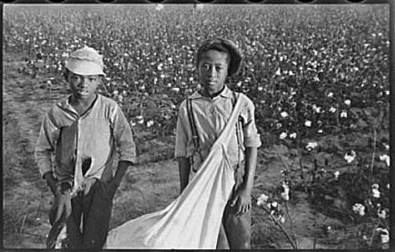 sharecropper-children_orig.jpg