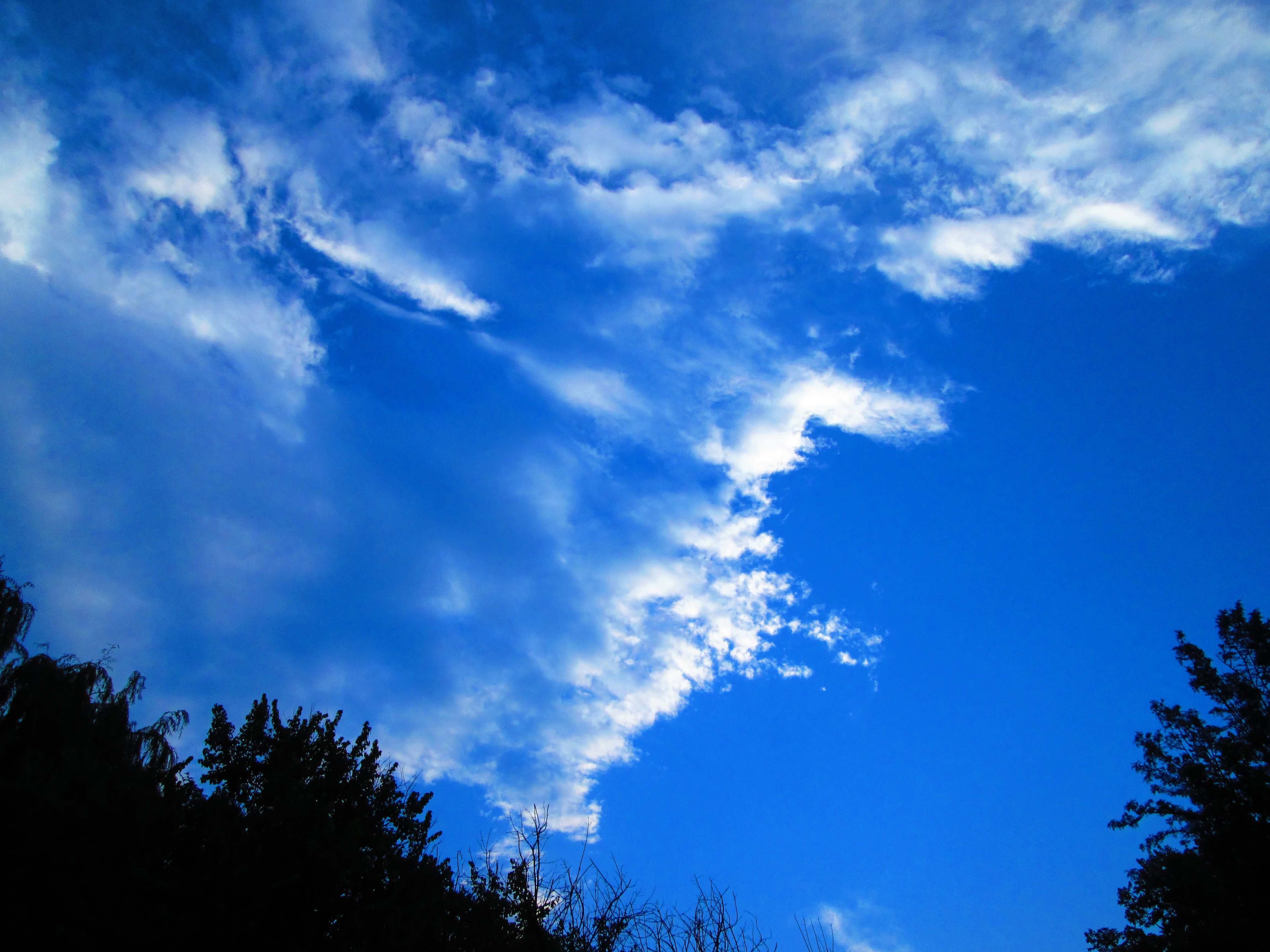 Cotton clouds and blue skies>>> : r/IndianTeenagers