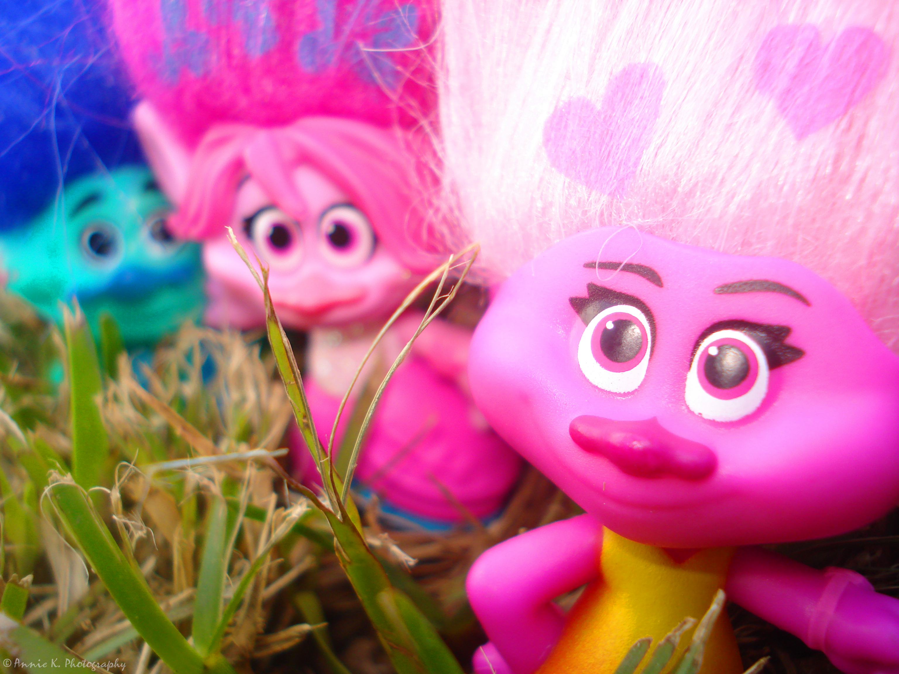 Trolls-colourful-selfie-1.jpg