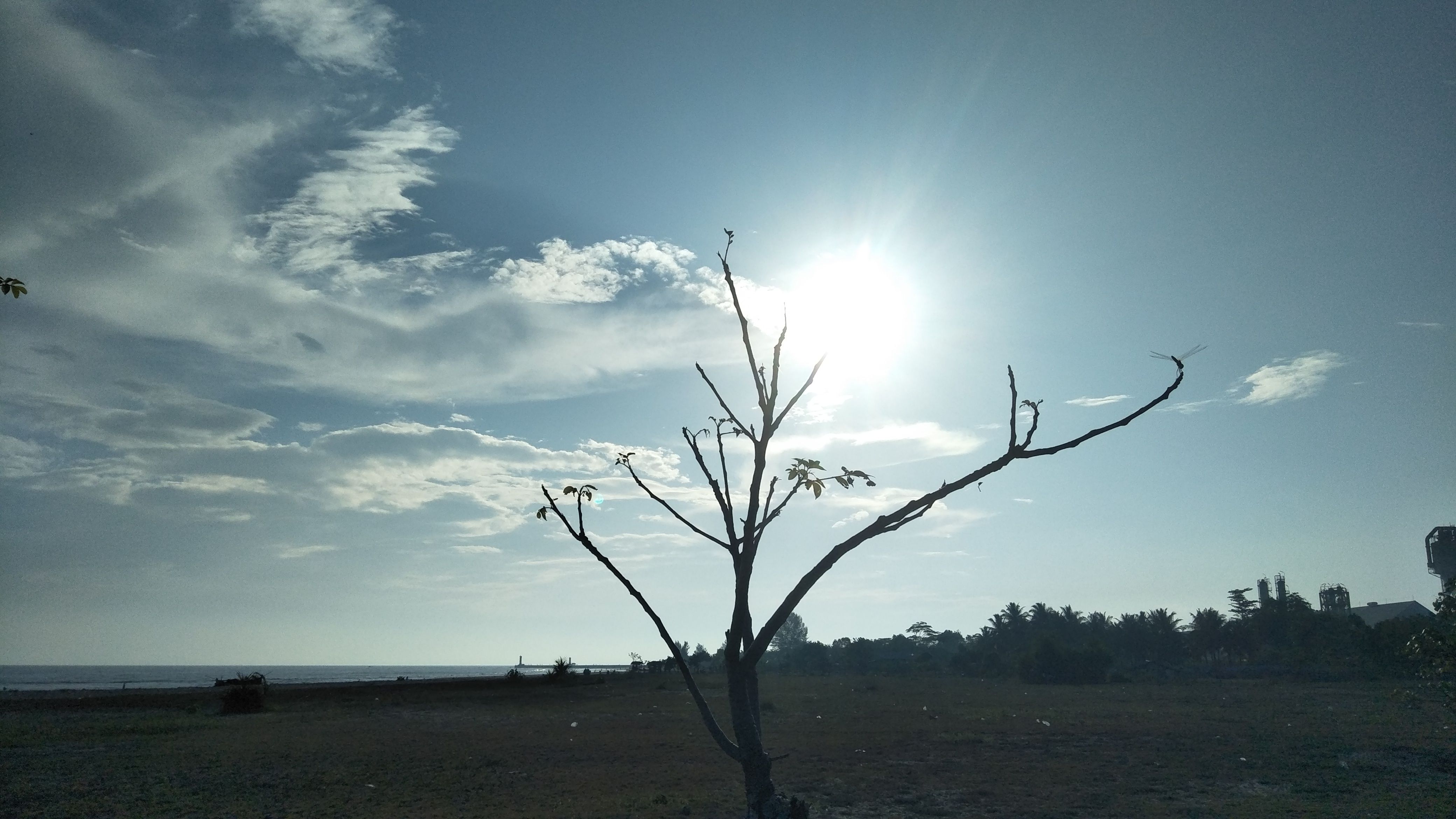 IMG20180204080521.jpg