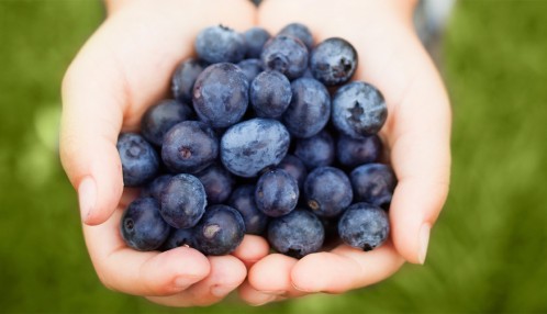 Blueberries.jpg