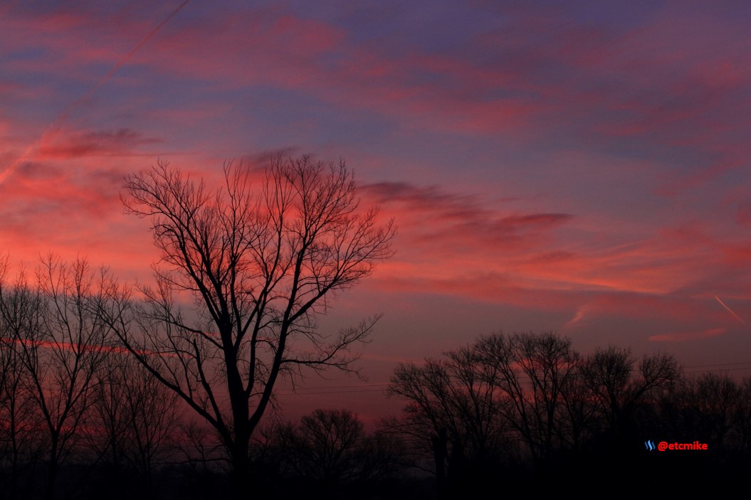 pink sunrise dawn SR15-13.JPG