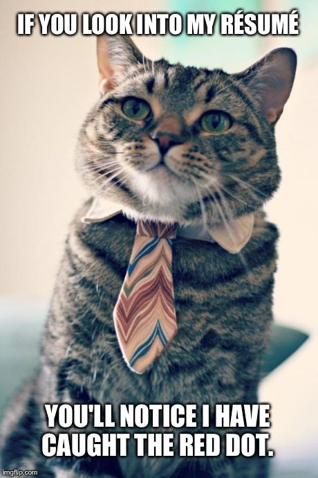 Cat Red Dot Resume.jpg