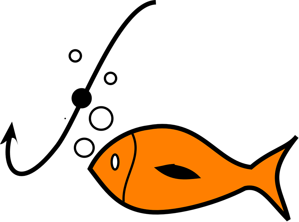 fish-311720_960_720.png