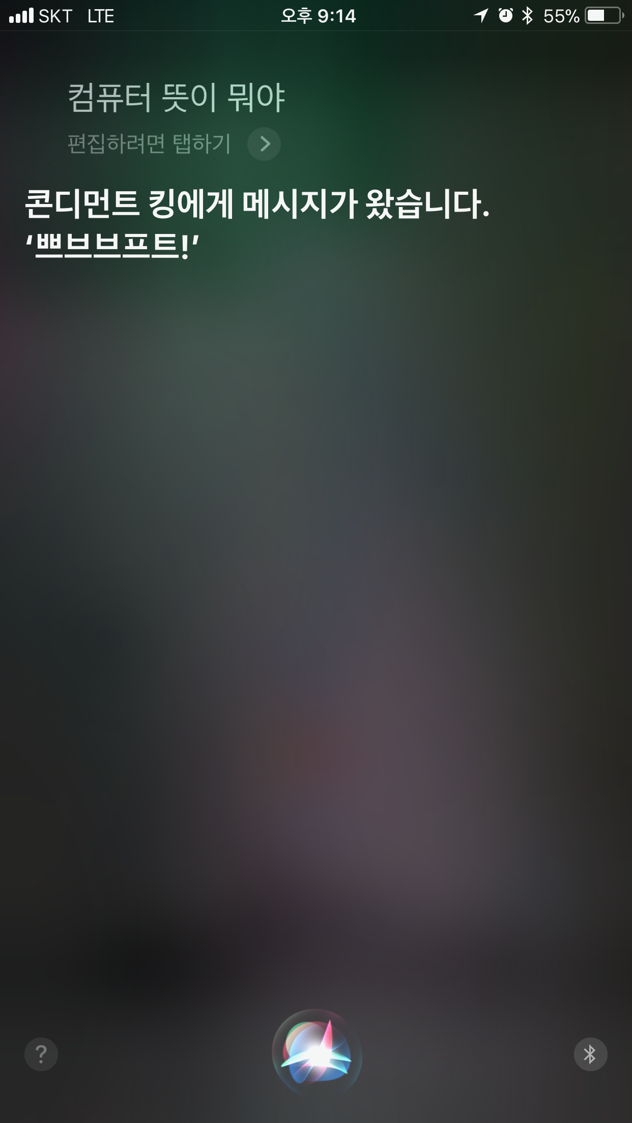 아이폰_애플_시리_오류_에러_컴퓨터_단어_딴소리_오동작_apple_siri_아이폰8_아이폰x_아이폰7아이폰6_plus_플러스 (5).png