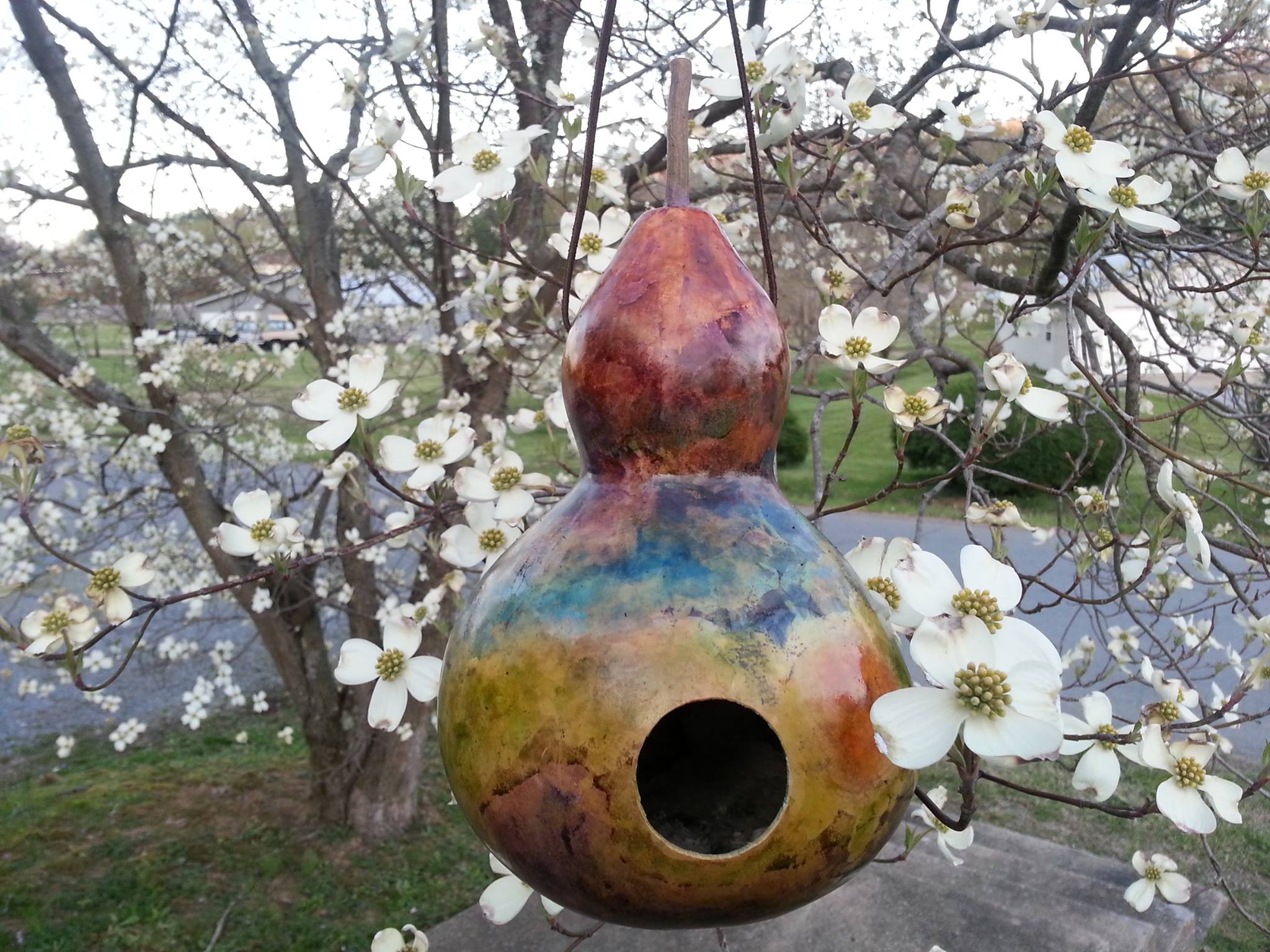 Gourd birdhouse.jpg