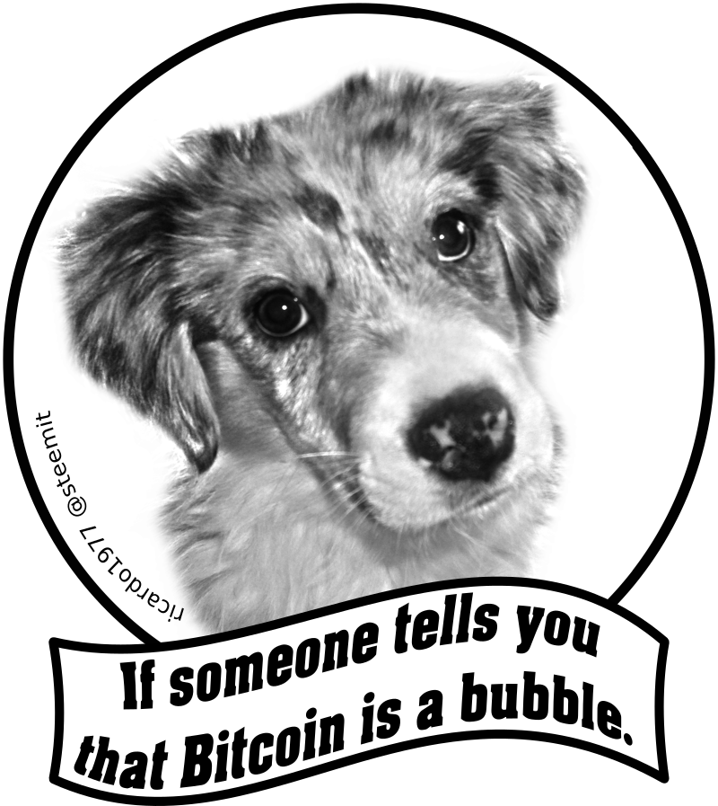 btcbubblesteem.png