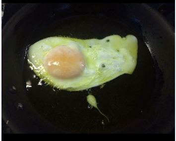 egg1.PNG
