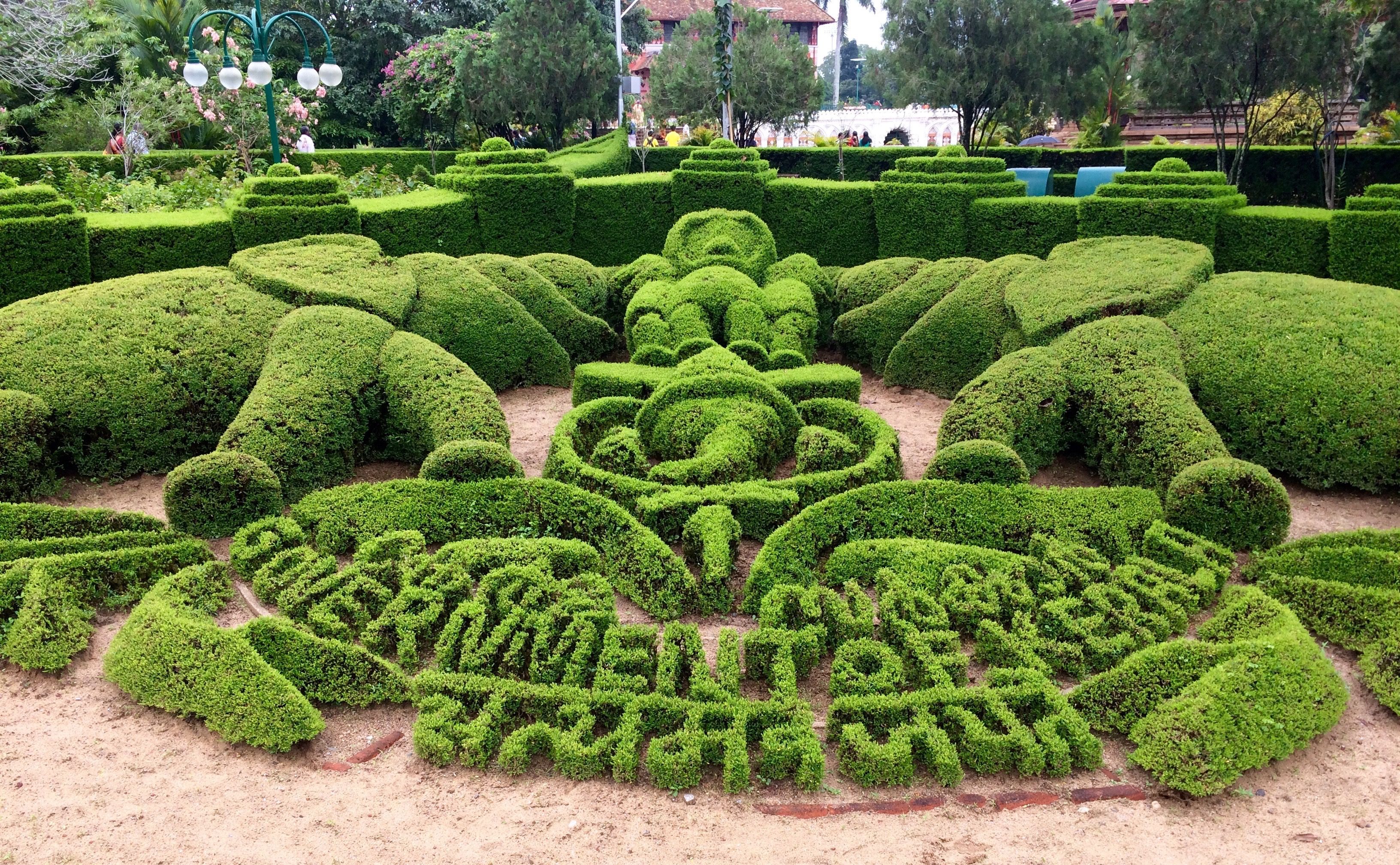 trivandrum-zoo-hedges-pattern.jpg