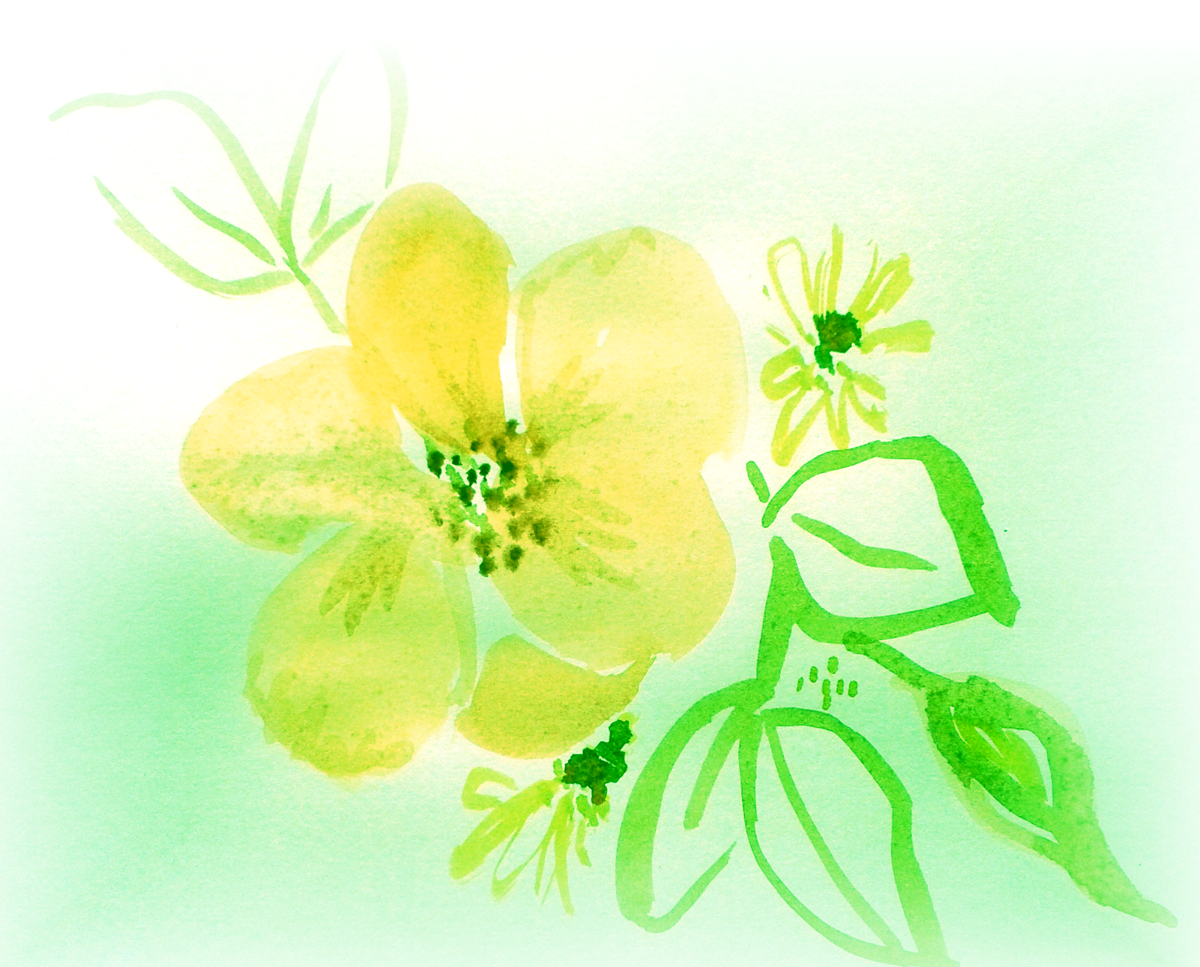 yellow rose res.png