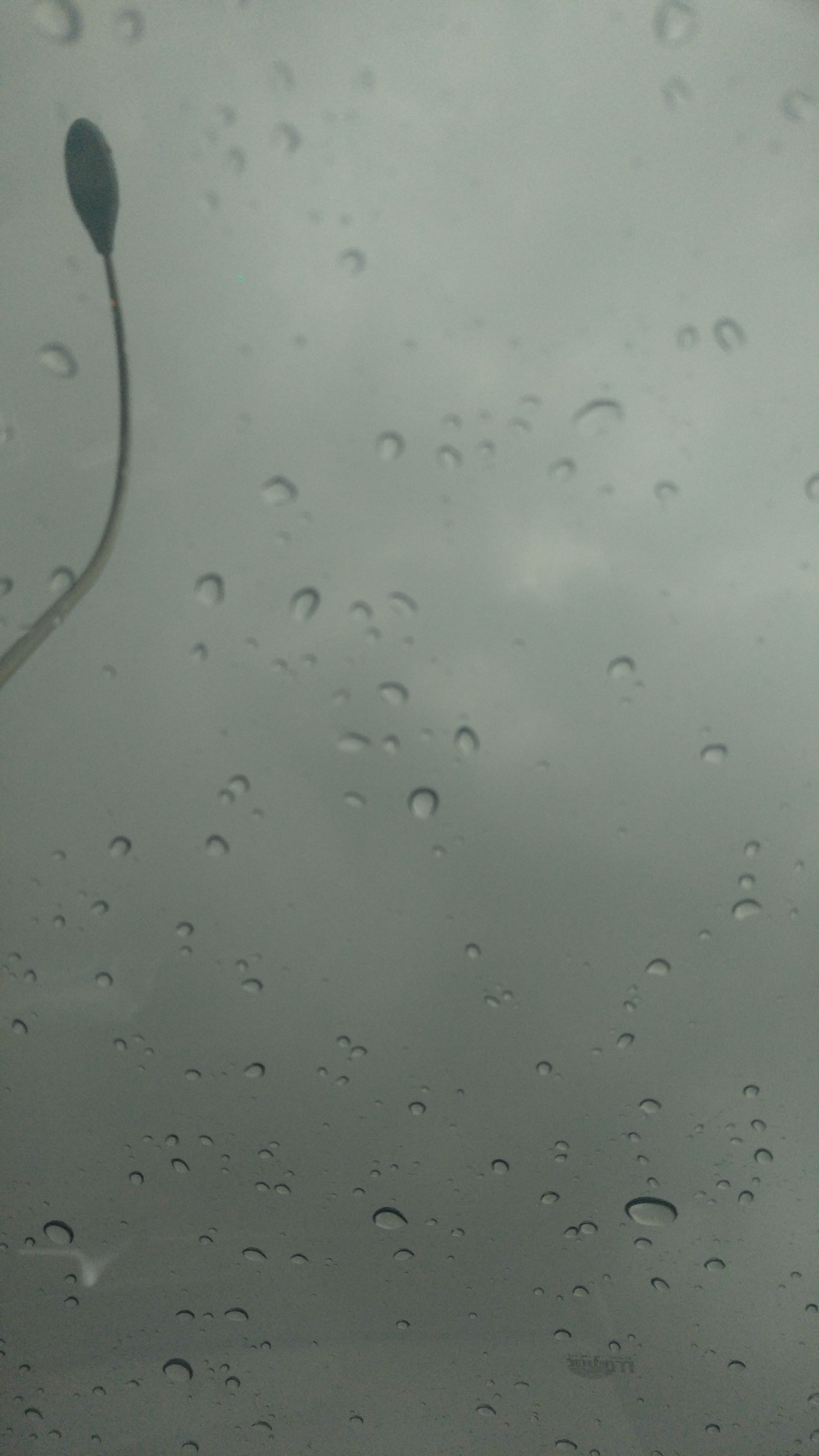 20170706_184433.jpg