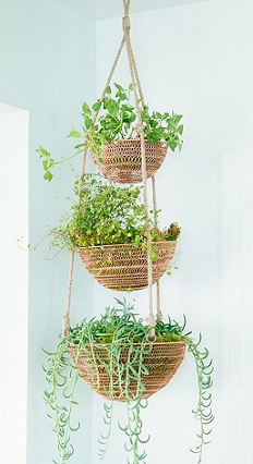 Hanging Gardens 2.jpg