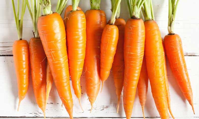 095707carrot.jpg