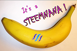 a Steemnana 250x167.png