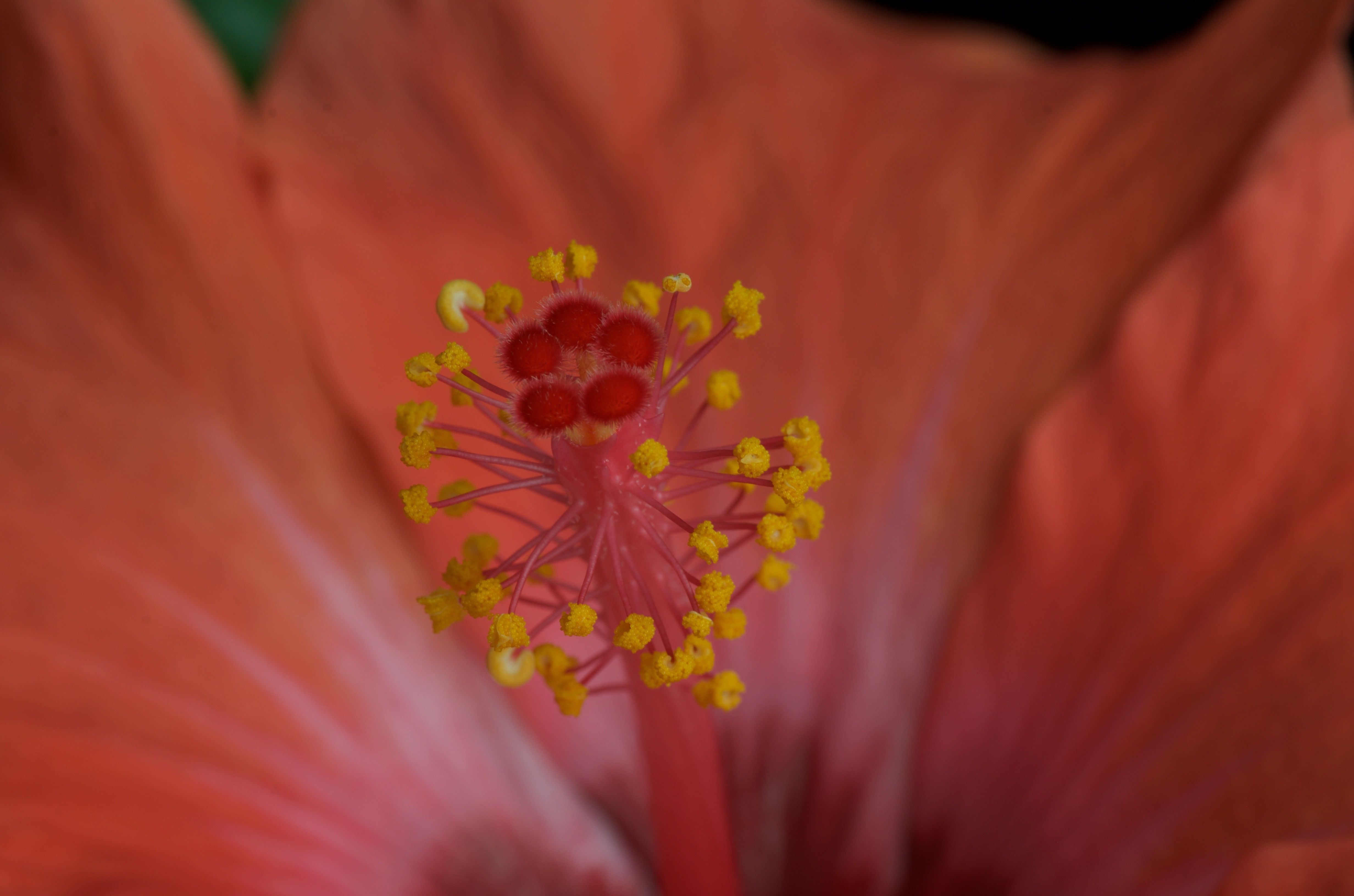 DSC_8669.jpg