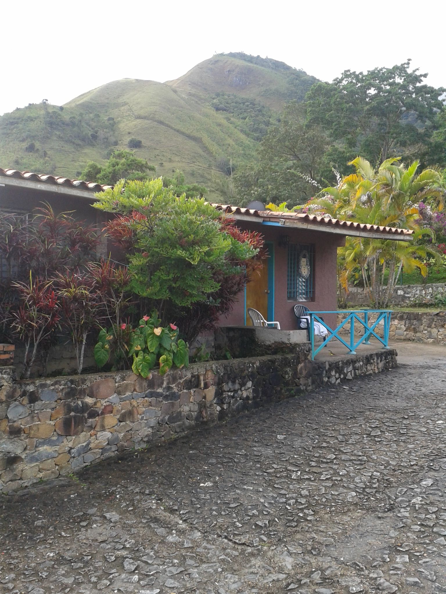 20150109_153804.jpg