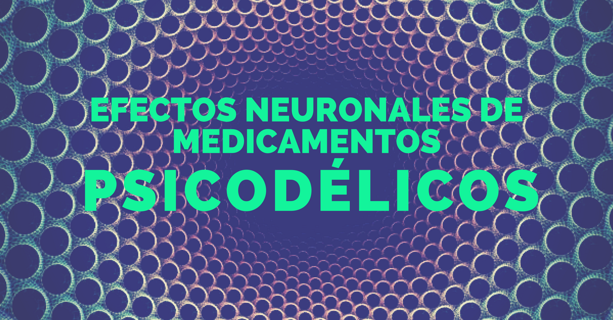 Crisis Muerte y Represión a en Relación a la Sustitución de Cultivos en Colombia (1).png