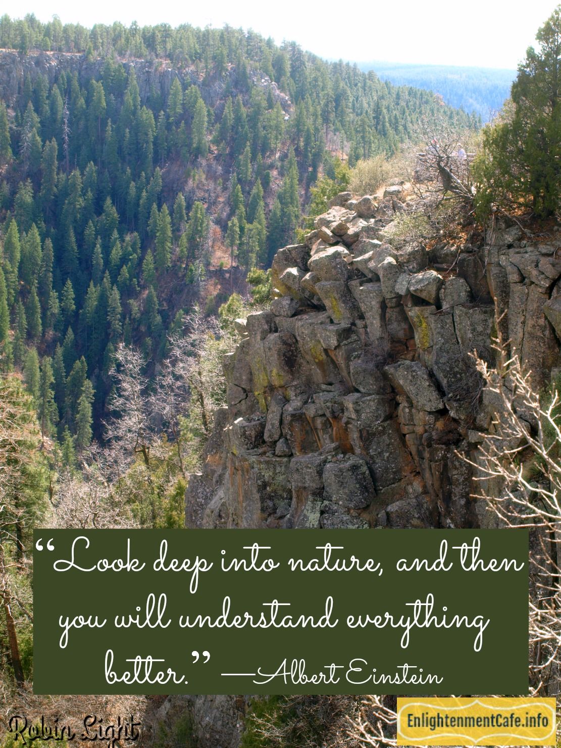 photo by Robin Light top of Oak Creek Canyon.jpg