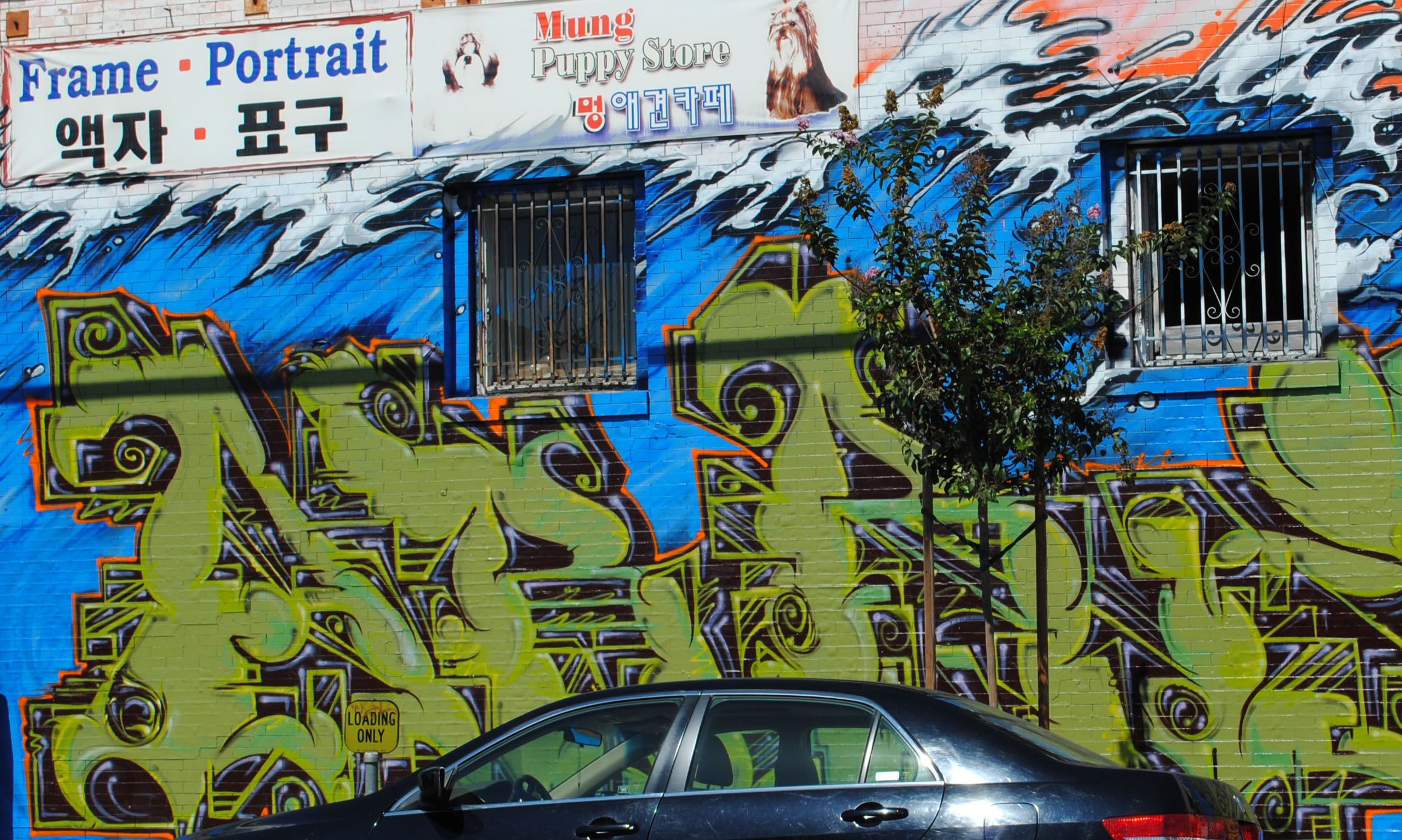 2005Graff039.jpg