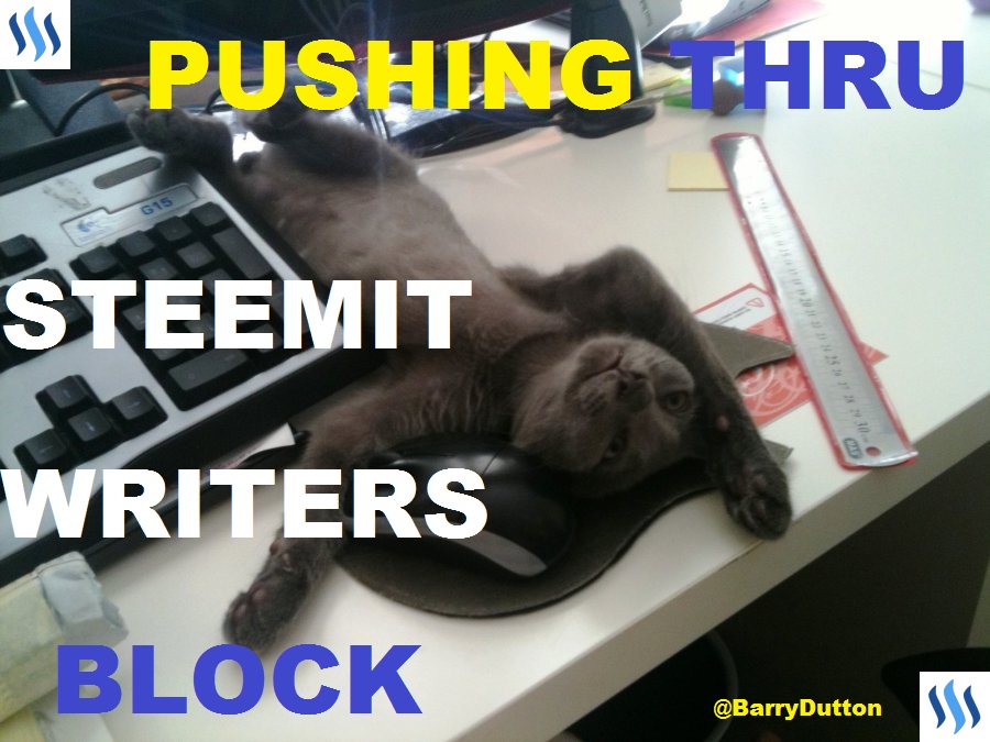 Pushing thru Steemit Writers Block - Cat on keyboard 900x675.jpg