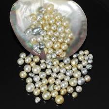 Pearls in shell.jpg