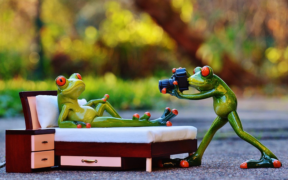 Photographer-Funny-Camera-Photo-Shoot-Frog-Fun-1080016.jpg