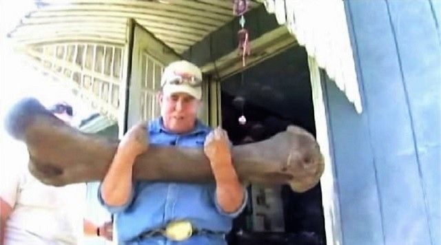 Mammoth femur bone found in backyard.jpg