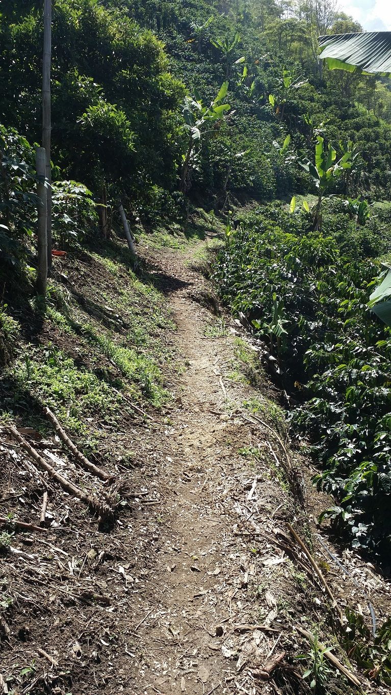 3 - Setting out across the neighbors farm.jpg