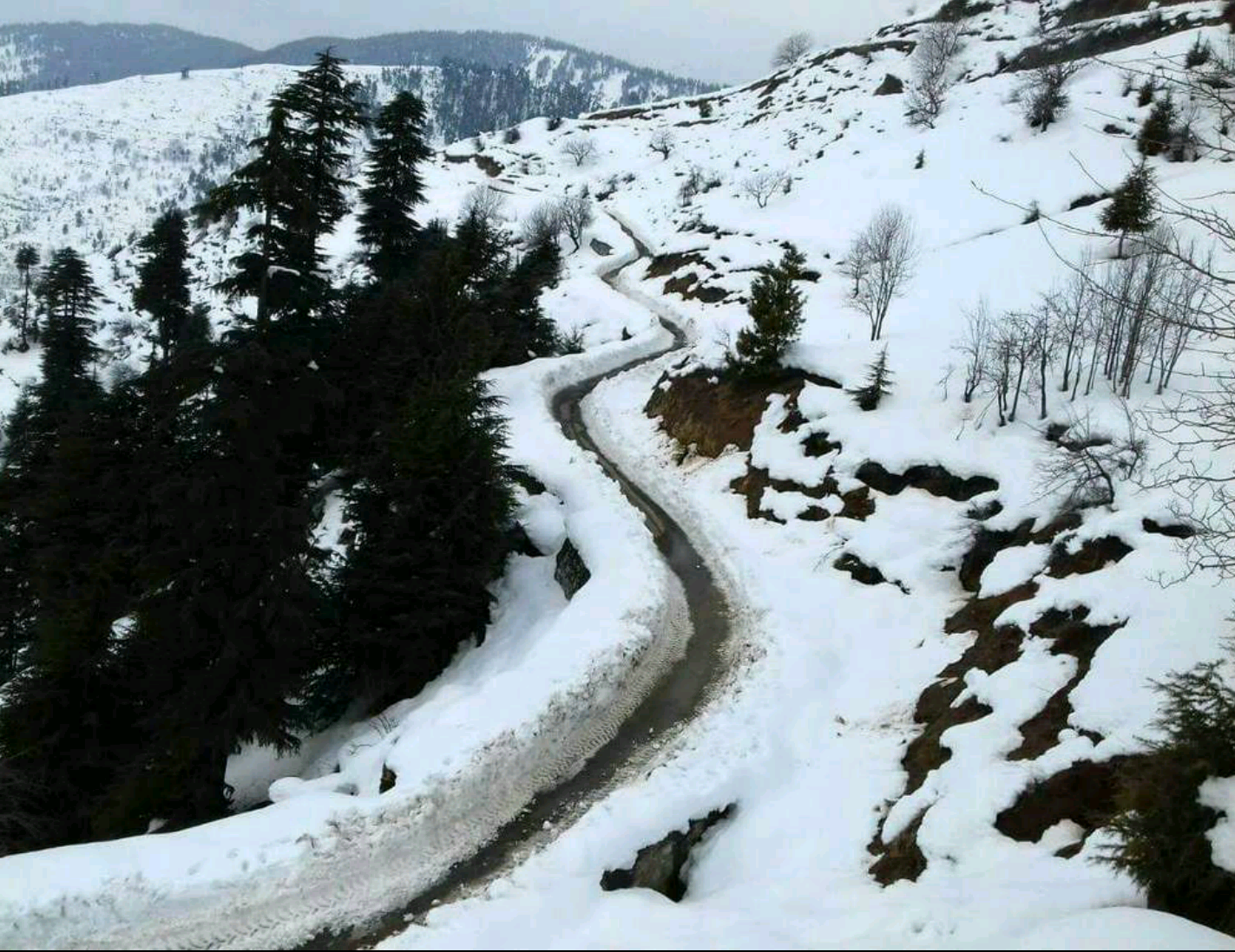 2017-06-03 20.52.01.png