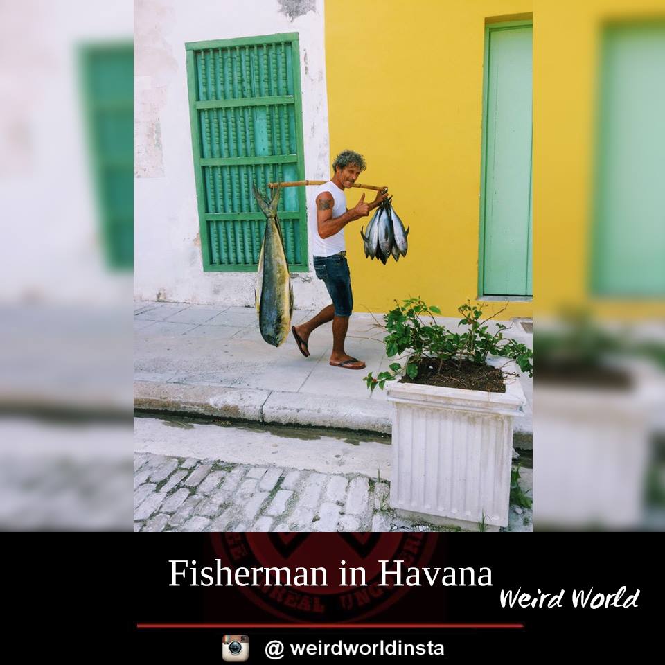 fisherman.jpg