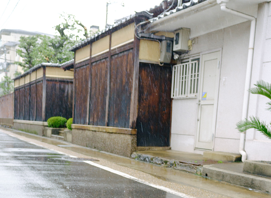 rain9.jpg