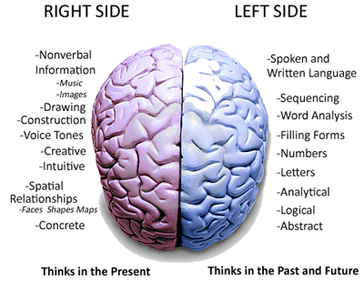 left rigth brain.gif