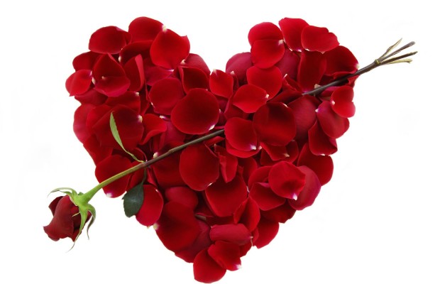 Valentines-Day-onyx-truth-620x400.jpg