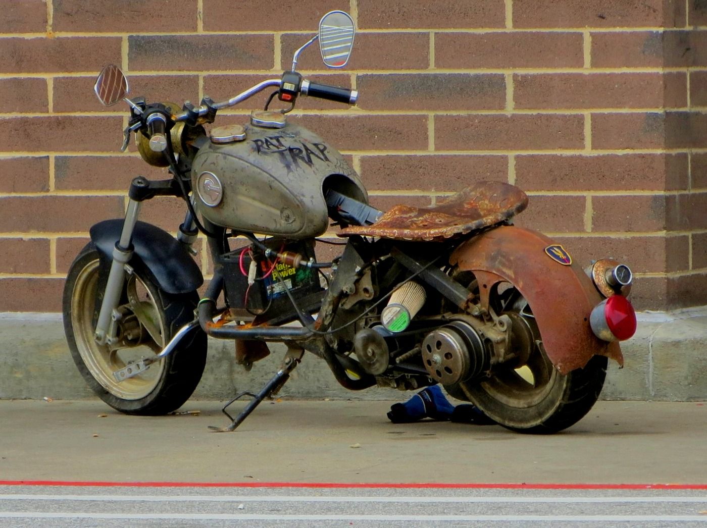 Rat Bike 2.jpg
