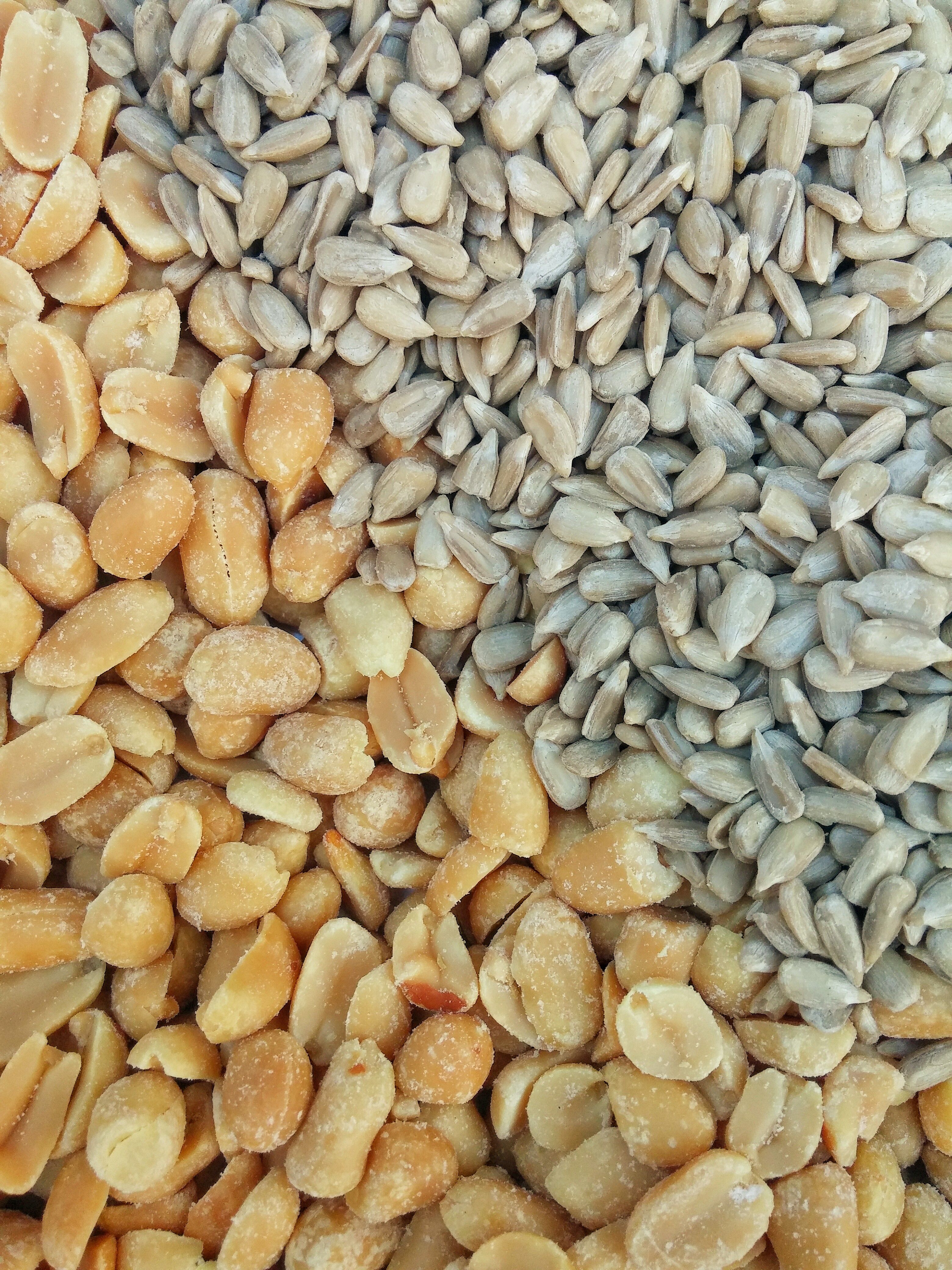 Nuts_and_sunflower_seeds.jpg