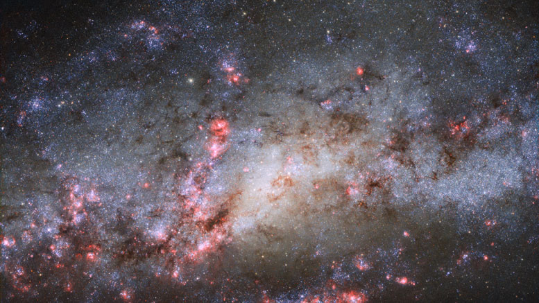 Hubble-Views-NGC-4490.jpg