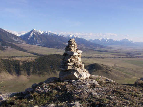 11441377.jpg
