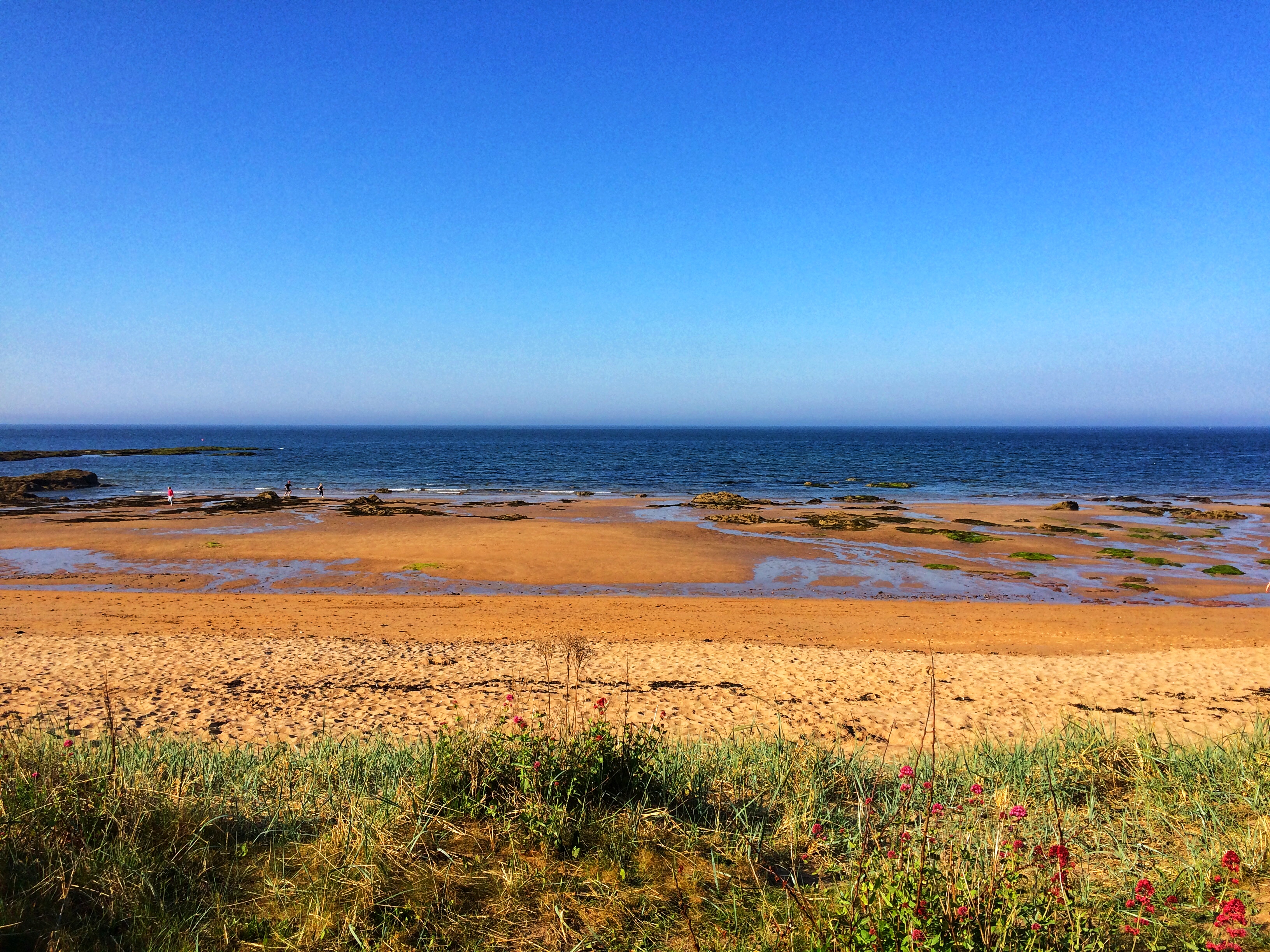 North Berwick.jpeg