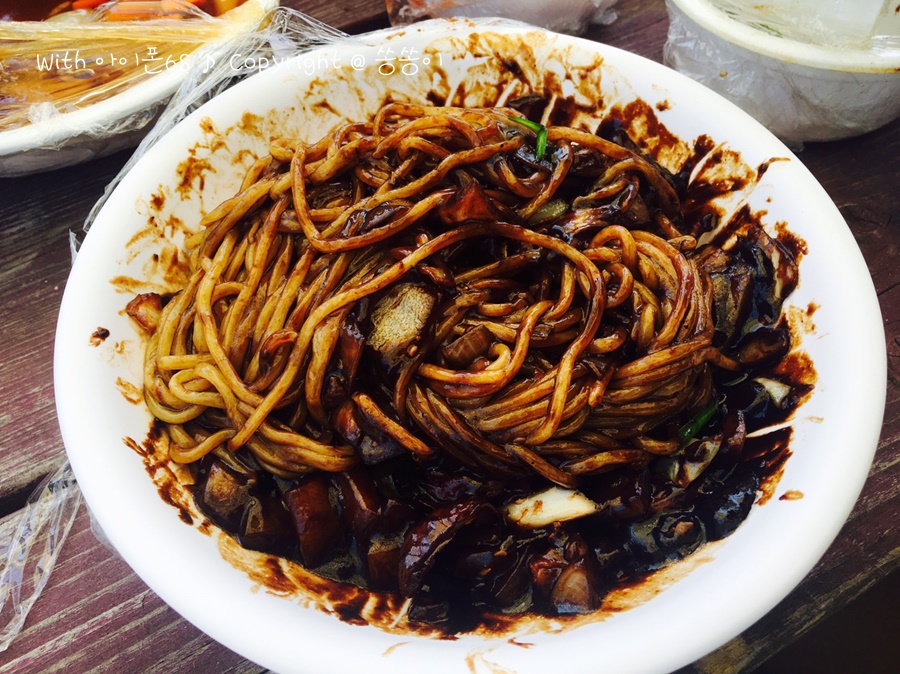 애견 놀이터_도기헤븐 (12).jpg