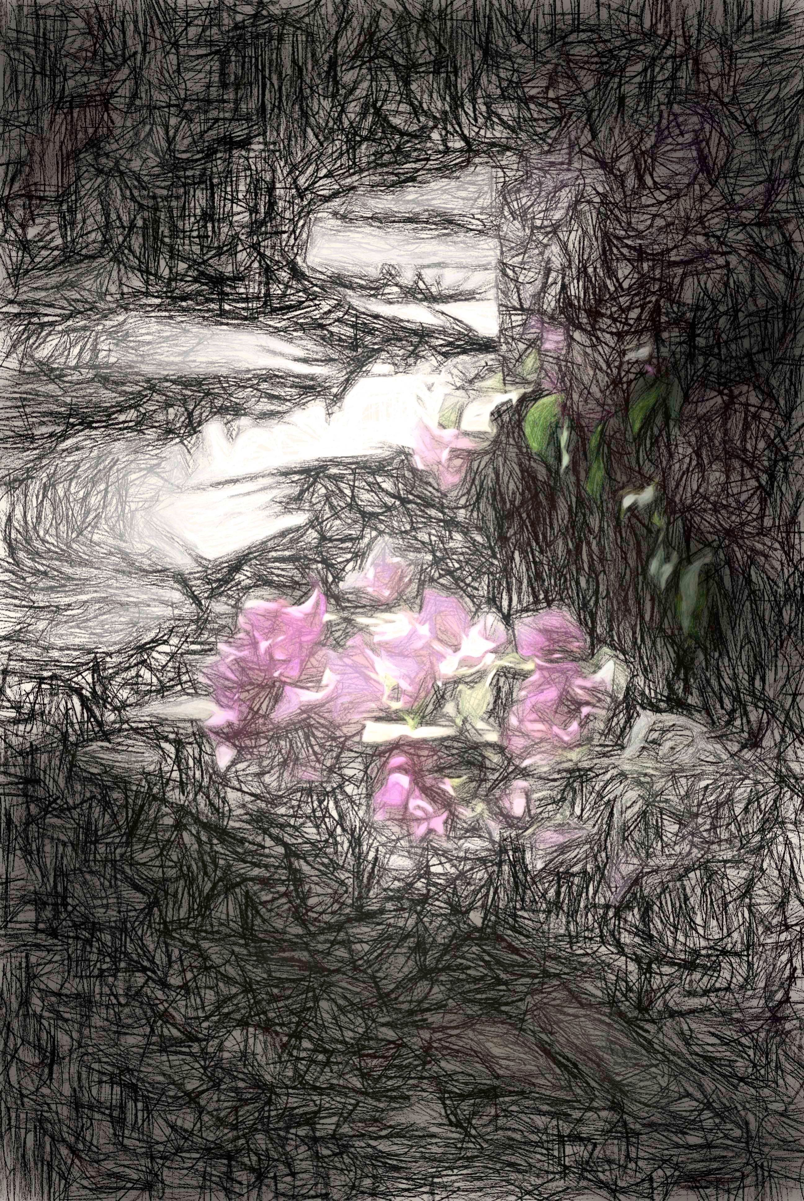 flowers3.jpg