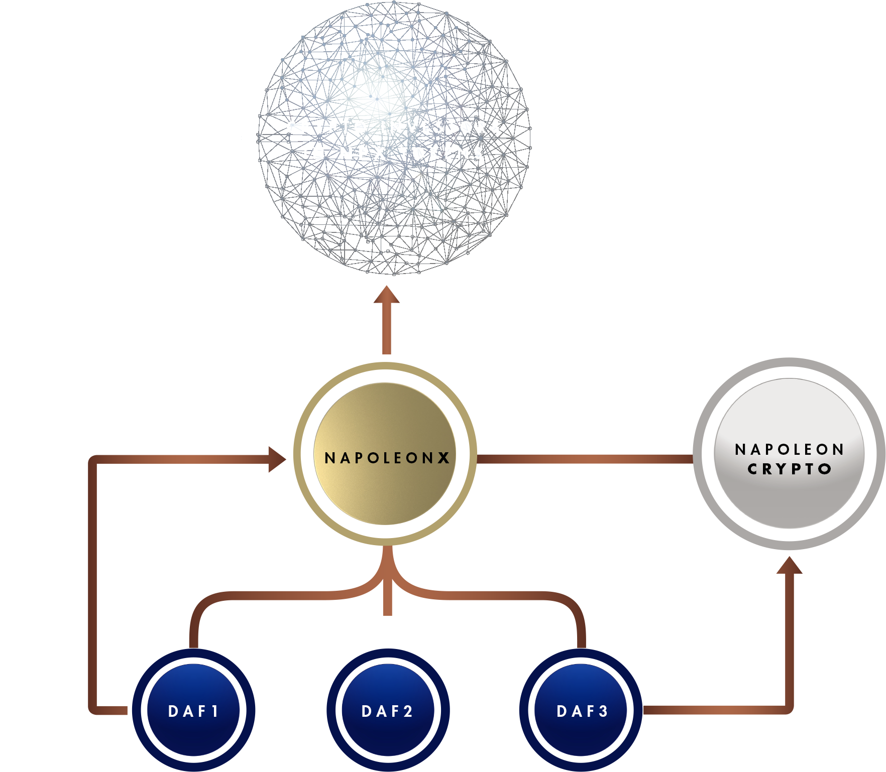 napoleonx about-schema.png