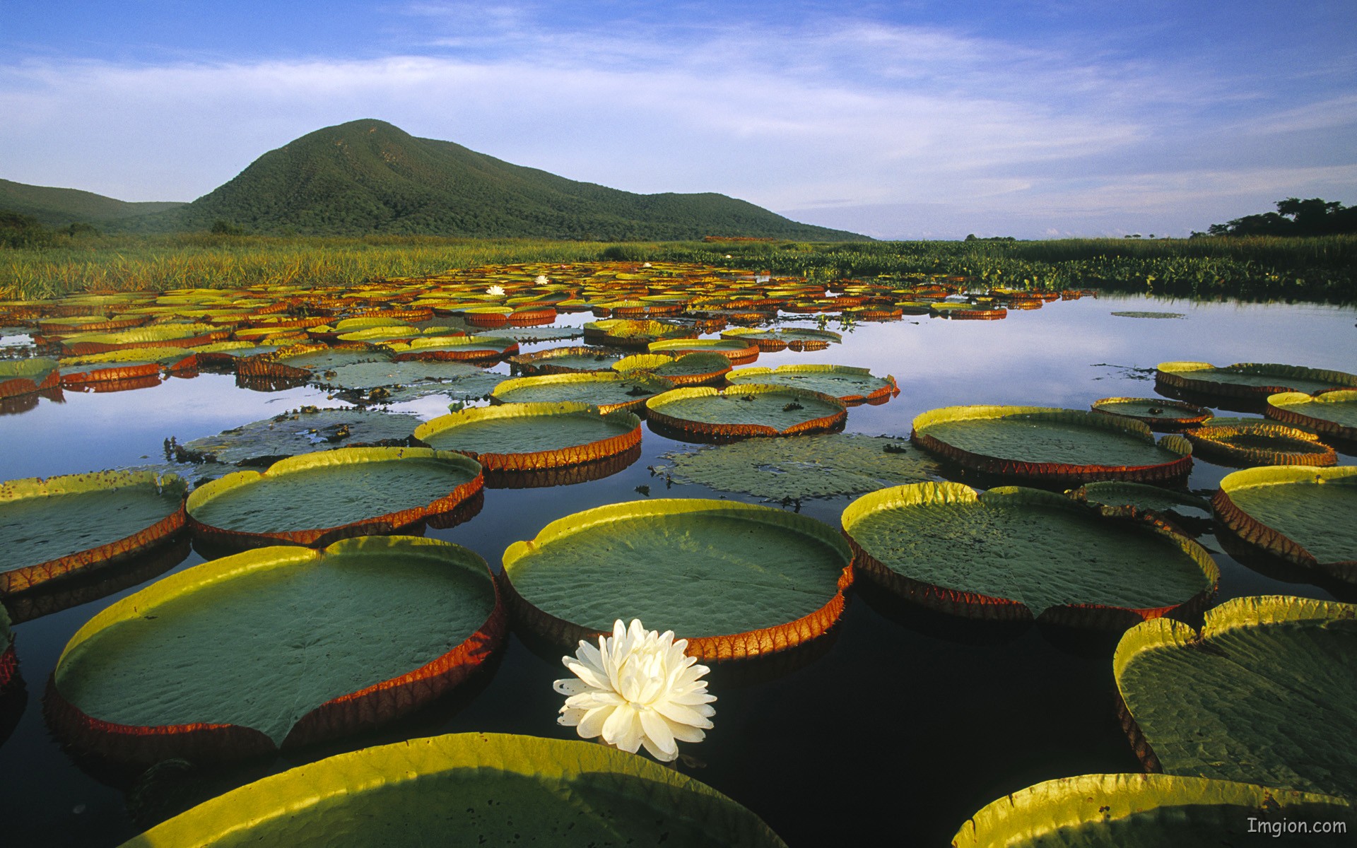 Beautiful-Brazil-Nature.jpg