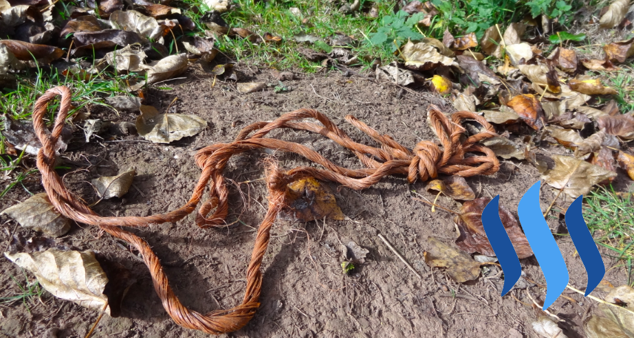 1rope.png