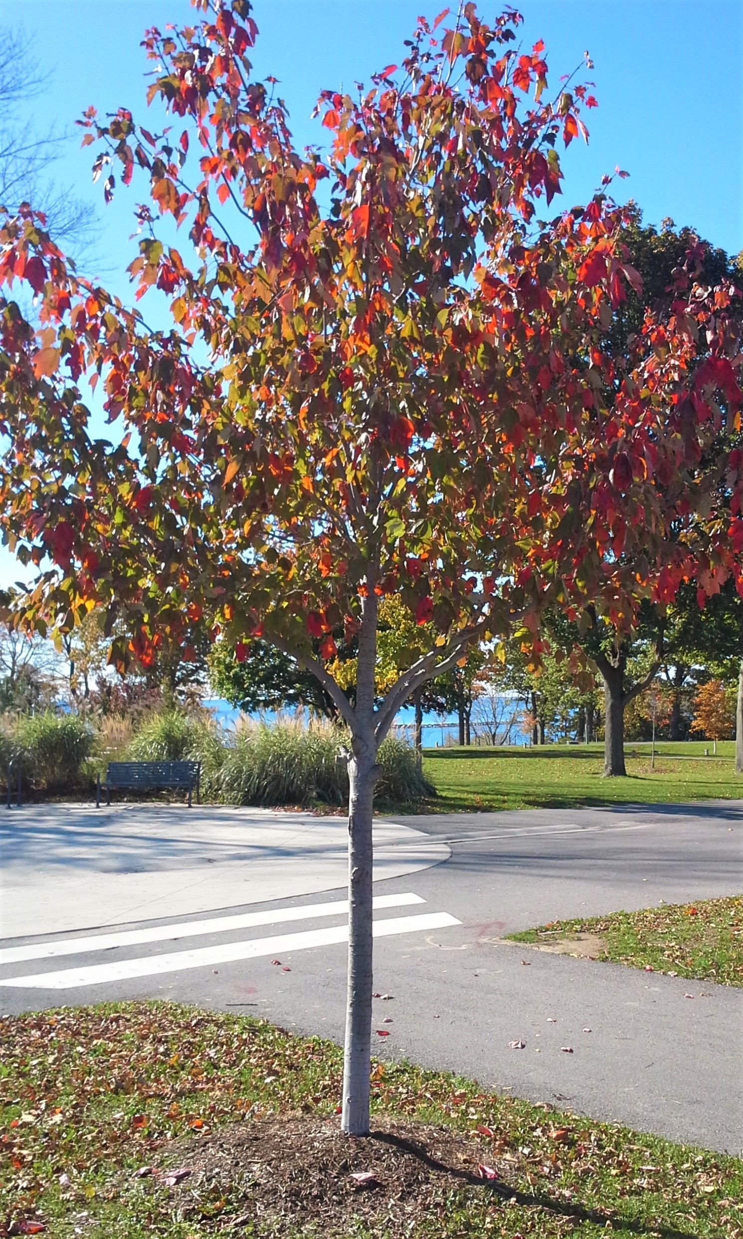 20171026_120906 (2).jpg