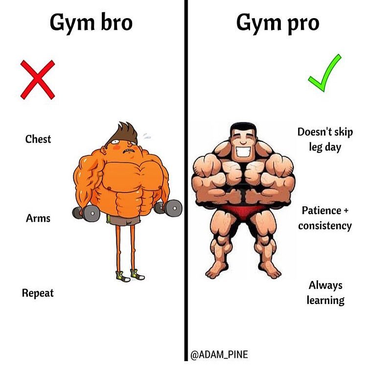 Gym Bro Science Tips That Actually Build Muscle